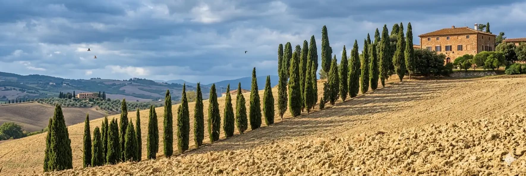 Tuscan landscape behind the gas burner installation guide